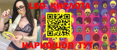 амф Донской