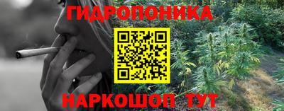 амф Донской
