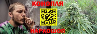 амф Донской